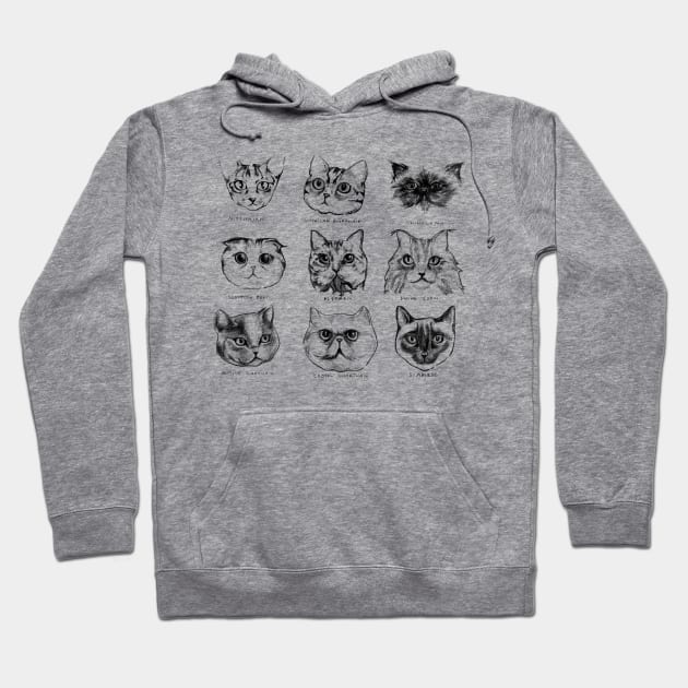 Cat Breeds of the Universe Hoodie by sketchboy01